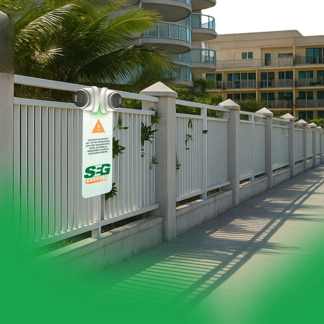 Seg security - Sentinex 2